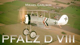 Mikael Carlson Pfalz D VIII. Long filmversion. Jesper Rådegård Aviation Video.