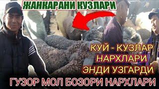 ГУЗОР МОЛ БОЗОРИ КУЙ - КУЗЛАР НАРХЛАРИ ЭНДИ УЗГАРДИ ..