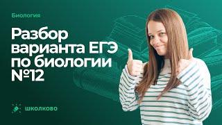 Разбор варианта ЕГЭ по биологии №12