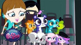 Littlest Pet Shop Season 2 - 'Jasper's Littlest Pet Shop Commercial' Official Clip