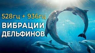 528гц + 936гц Исцеляющее Пение Дельфинов для Восстановления Энергии, Снятия Стресса и Глубокого Сна