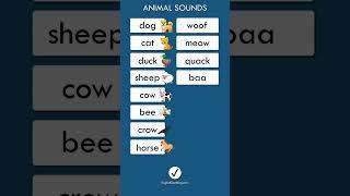 Animal Sounds In English