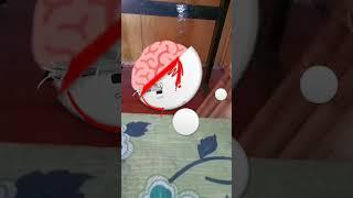 tutorial