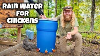 DIY Rain Water for Goats & Chickens | Off-Grid Tennessee Homestead