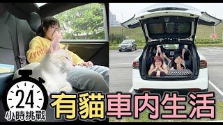 【挑戰】24小時貓咪車內生活 Tesla Model X[NyoNyoTV妞妞TV]