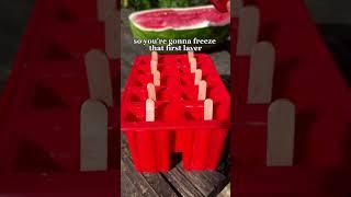 Let’s make watermelon popsicles  #fruit