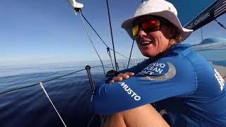 Boat Log - Leg 4: Day 8 - Life in the Doldrums