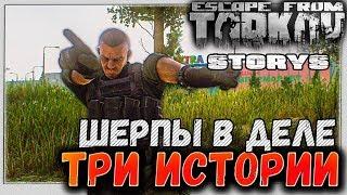 Лес, Шерпы и Т-7  Три истории, один рейд в Escape From Tarkov 3 серия