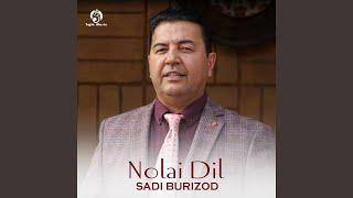 Nolai Dil