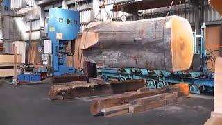 Amazing Sawmill Machine || BIJOY DADA