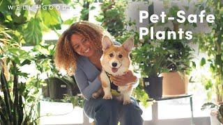 The Most Pet-Friendly Plants According to a Plant Doctor | Greene Thumb | Well+Good