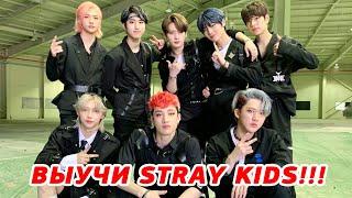 ТЕСТ КАК ХОРОШО ТЫ ЗНАЕШЬ УЧАСТНИКОВ STRAY KIDS! УЧИМ STRAY KIDS