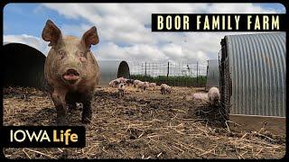 Boor Family Farm | Iowa Life