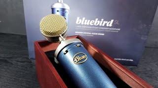 Blue Yeti versus Blue Bluebird (Condenser Mic Comparison)