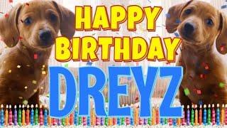 Happy Birthday Dreyz! ( Funny Talking Dogs ) What Is Free On My Birthday