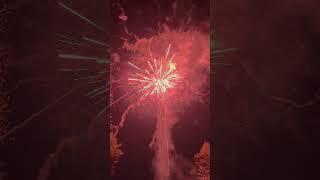 Color rage raccoon fireworks #shorts #fireworks