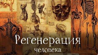 Регенерация: как научить свое тело заживлять быстрее и лучше