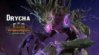 Drycha's CRAZY Campaign, The Mad Dryad – Total War: Warhammer 3 Immortal Empires