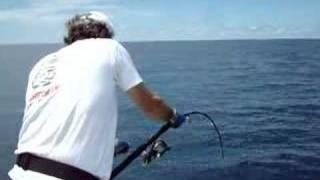jigging Monster dog tooth tuna