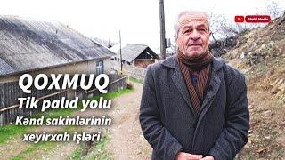 Şəki, Qoxmuq kəndi | Tik palıd yolu və kənd sakinlərinin xeyirxah işləri barədə.