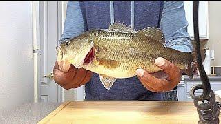 A Quick 3 Minute Tutorial on How To Filet A Bass #fishing