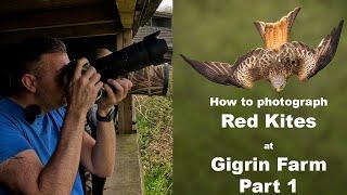 How to photograph Red Kites at Gigrin Farm Part 1