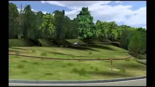 SLALOM - peugeot 205 rFactor