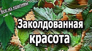 Заколдованная красота. Ручное кружево на коклюшках из крапивы.