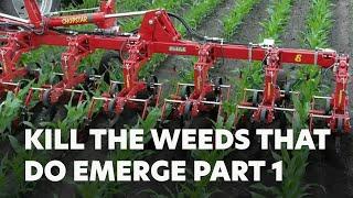 Kill the Weeds That Do Emerge Part 1