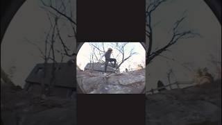 Rock wallride #allineedskate #skateboarding #skateboard