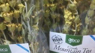 GReco herbs: Sideritis raeseri Bio /Grecki gojnik gorski Bio odmiany raeseri