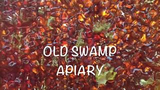 Welcome to Old Swamp Apiary!