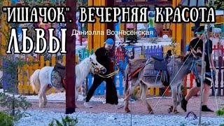 ВИТЯ,  ДИНА и потрясающий закат! О музыке в "Ишачке" и др. Львы. Life of #lions​ #animals.