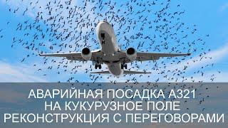 Реконструкция аварийной посадки A321 на кукурузное поле под Жуковским.