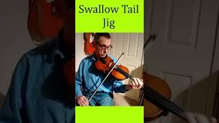 SwallowTail Jig #fiddle #irish #celtic