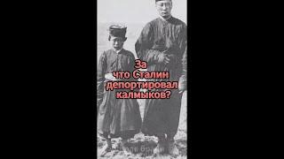 За что Сталин ДЕПОРТИРОВАЛ калмыков? #shorts