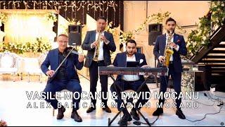 ABBA - VASILE SI DAVID MOCANU | ALEX BAHICA | MARIAN MOCANU ( OFFICIAL VIDEO 2024 )