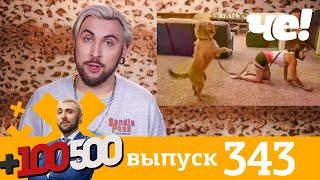 +100500 | Выпуск 343