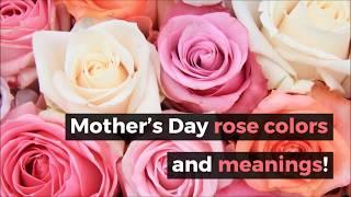 Mother's Day rose colors and meanings! - Ecuadorian Quality Roses