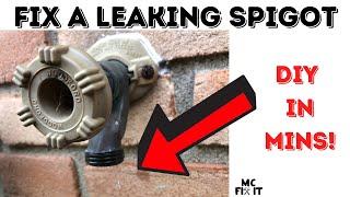 How to Fix A Leaking Spigot Woodford (Complete Guide)