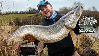 Pike fishing in the Spring - Shads in the Shallows