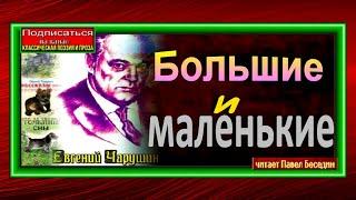 Большие и маленькие —Евгений Чарушин —читает Павел Беседин