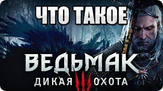 Что такое Ведьмак 3: Дикая Охота. Обзор от Стикса