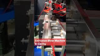 Extrusion Blow Molding Machine EBM 6-Cavity|Lotion Bottle