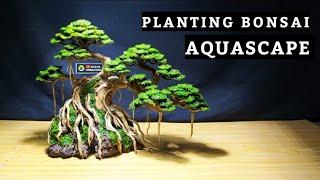 Step by step CARA PLANTING BONSAI AQUASCAPE untuk tank 60 cm