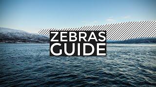 Guide To Using Zebras With All Sony Gammas