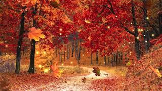 Autumn Forest Ambience [Music by Adrian von Ziegler - Autumn Forest, Relaxing Celtic Music]