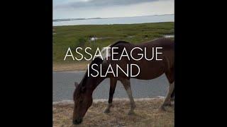 Assateague Island, National Seashore