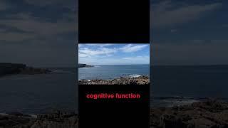 Fatty Fish: The Ultimate Brain Fuel