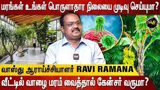 வீட்டில் வாழை மரம் வைத்தால் Cancer வருமா? - Vasthu Ravi Ramana Explains